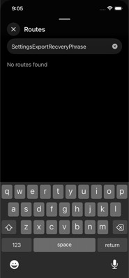screenshot of /(accounts)/accounts/SettingsExportRecoveryPhrase