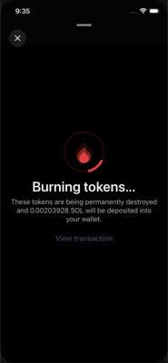screenshot of /(collectibles)/collectibles/burn/confirmation