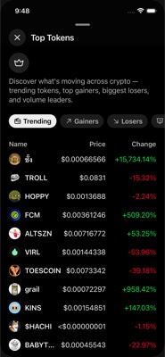 screenshot of /(fungible)/fungible/TopTokens
