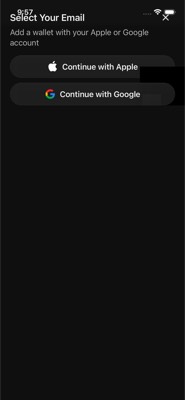 screenshot of /(onboarding)/SeedlessEmailOptions