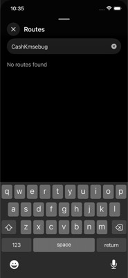 screenshot of /CashPage/CashKmsDebug