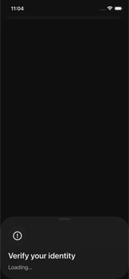 screenshot of /FundingKyc